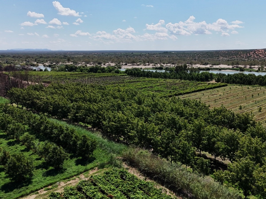 Commercial Property for Sale in Groblershoop Northern Cape